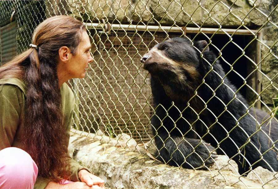 Talking with a Bear in Aqua Caliente - Peru