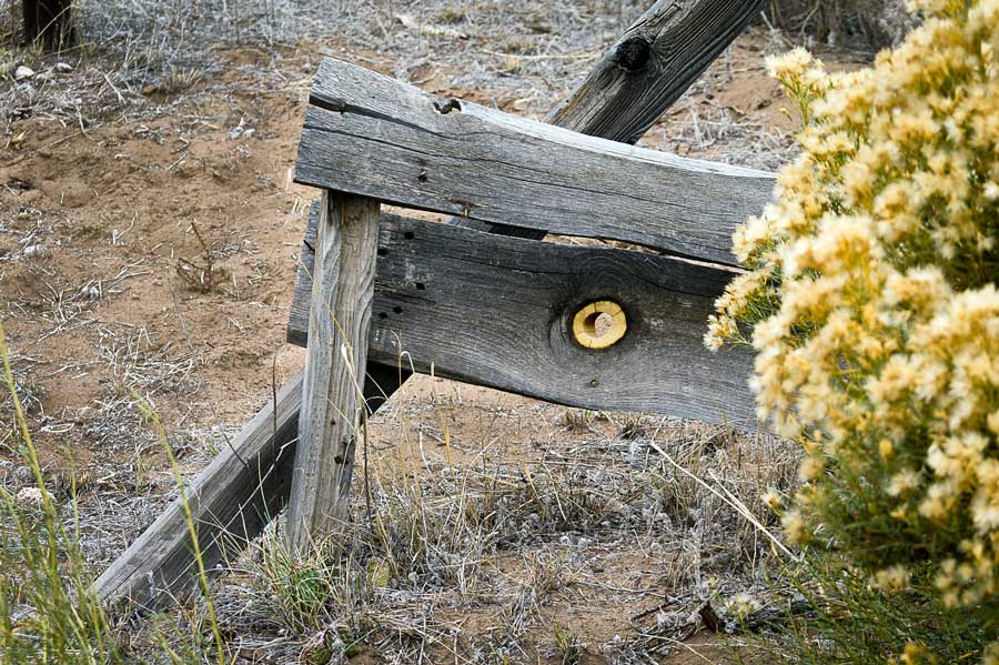 an old saw horse on the retreat (photo by virochana)